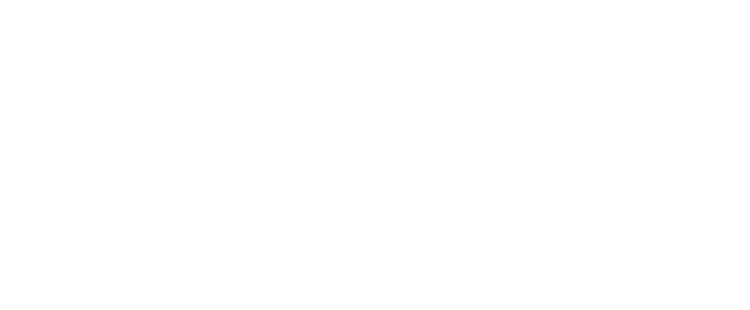 Fermentis