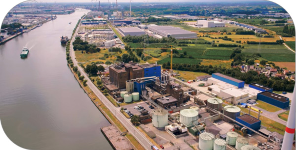 Algist Bruggeman plant