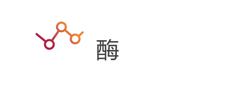 酶